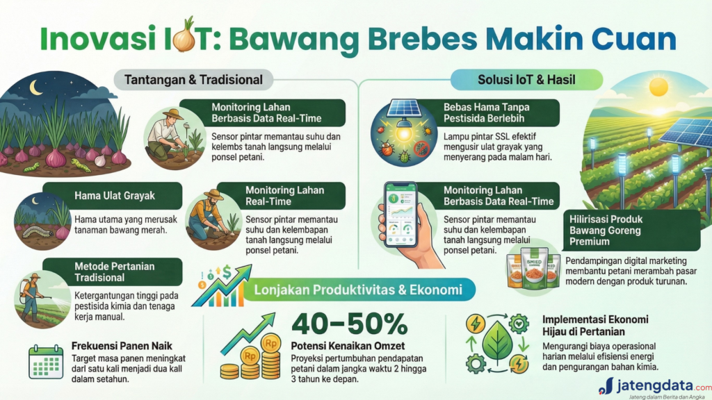 Infografik manfaat inovasi IoT pada panen bawang merah Brebes untuk mengatasi hama ulat grayak dan meningkatkan omzet petani.