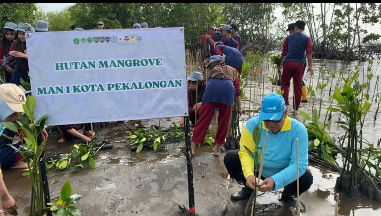 Tahan Laju Abrasi Pekalongan, Ratusan Pelajar Turun Tanam Mangrove