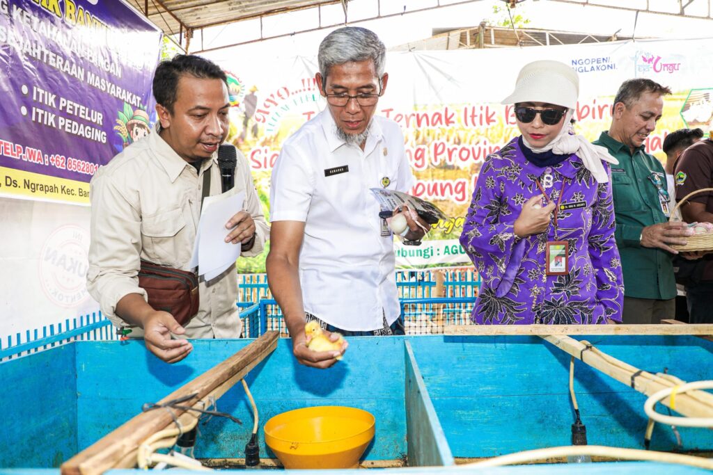 Anatomi Ketahanan Pangan: Mampukah 630 Ribu Petani Milenial Jateng Membendung Krisis Regenerasi?