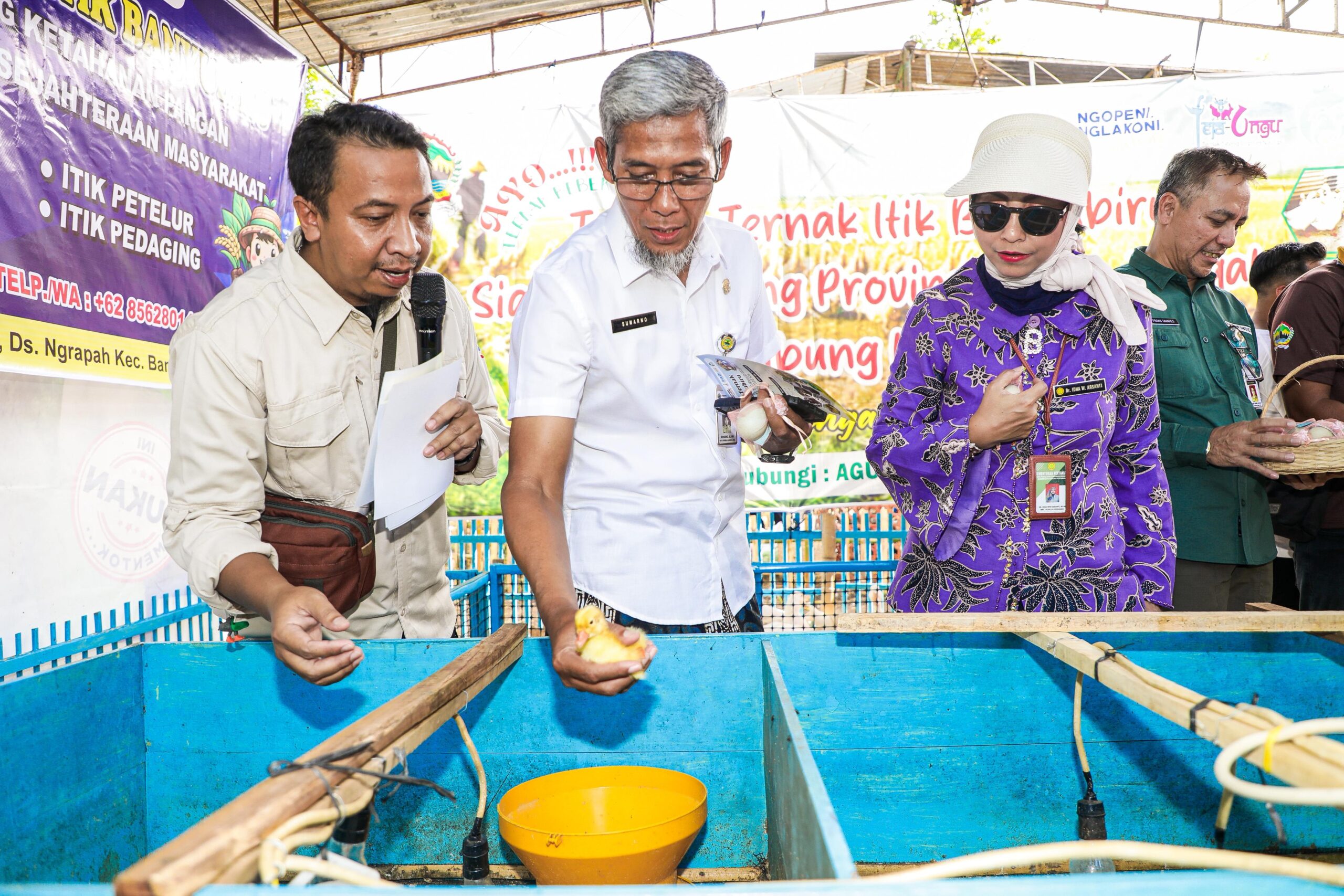 ekda Jateng Sumarno memegang anak itik di peternakan Temanggung.