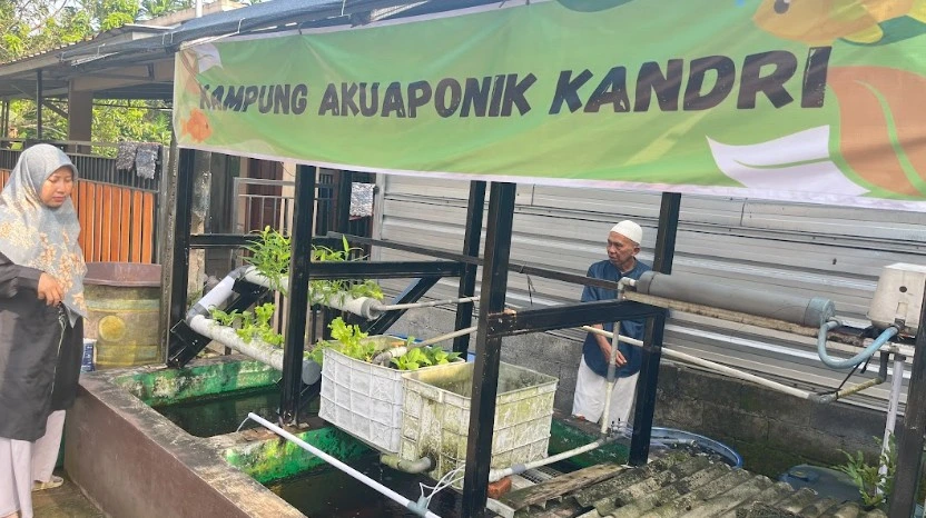 Akademisi UIN Walisongo Dian Armanda menyimak penjelasan inisiator Syafii mengenai instalasi bio-organik di Kampung Akuaponik Kandri, desa wisata Semarang.