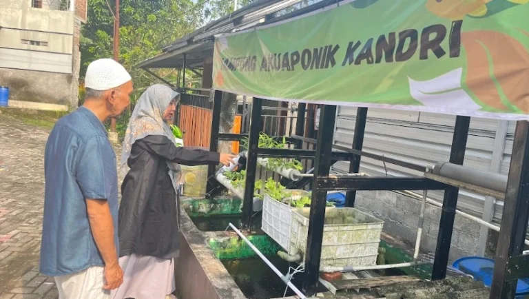Akademisi UIN Walisongo Dian Armanda menunjuk instalasi sirkulasi air saat berdiskusi dengan Syafii mengenai praktik Urban Farming Semarang di Kampung Akuaponik Kandri.