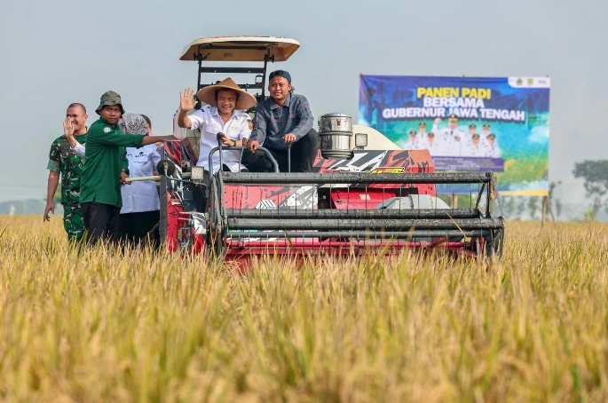 Gubernur Ahmad Luthfi mengendarai combine harvester saat panen raya di Sukoharjo sebagai upaya mengamankan stok beras Jateng di tengah ancaman kemarau panjang Jawa Tengah.