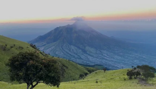 Pemandangan ikonik Gunung Merapi yang terlihat megah dari sabana hijau saat pendakian Gunung Merbabu.