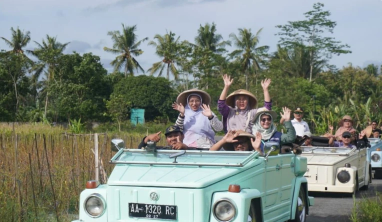 Rombongan wisatawan melambai gembira dari atas mobil VW Safari klasik saat melintasi area persawahan di kawasan desa wisata Borobudur, Magelang.
