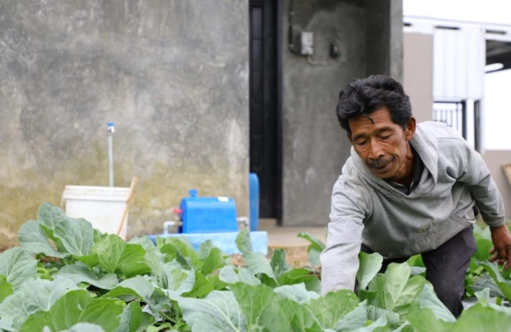 Petani merawat kebun sayur di pekarangan rumah berkat Bantuan Air Bersih Jateng melalui fasilitas SPAM Purbalingga di Desa Kutabawa yang menjadi solusi krisis air.