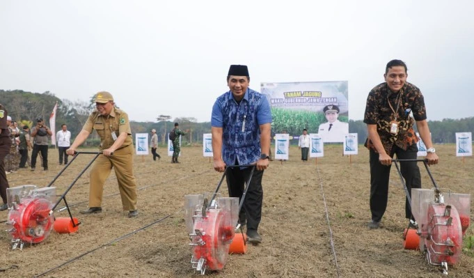 Wagub Jateng Taj Yasin Maimoen bersama pejabat daerah tersenyum sambil mendorong alat tanam jagung di lahan tidur seluas 57 hektare di Banjarnegara untuk program ketahanan pangan nasional.