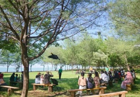 Wisatawan antusias menyaksikan atraksi burung eksotis terbang bebas di area ruang terbuka berlatar pepohonan pinus pesisir Safari Beach Jateng, yang menjadi daya tarik utama wisata edukasi satwa Taman Safari Batang.