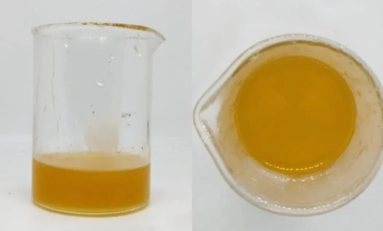 Cairan kuning fosfolipida hasil ekstraksi kelapa di dalam gelas kimia laboratorium sebagai bahan baku kosmetik lokal inovasi peneliti Undip.