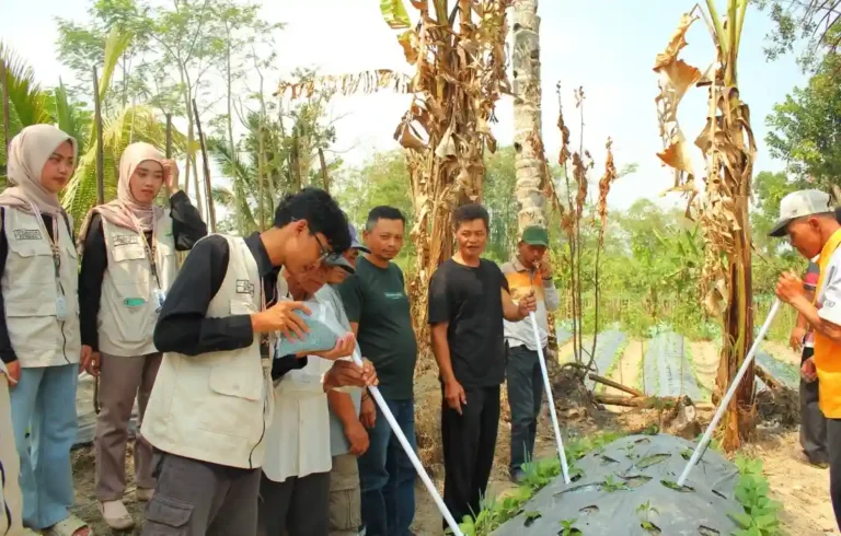 Mahasiswa KKN UIN Walisongo mendemonstrasikan inovasi alat penabur pupuk kimia berbahan pipa PVC kepada petani sayur di lahan Dusun Kapuhan, Magelang.