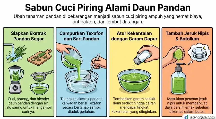 Infografis 4 langkah mudah cara membuat sabun cuci piring dari daun pandan, mulai dari ekstrak daun, pencampuran Texafon, pengaturan kekentalan, hingga penambahan jeruk nipis.