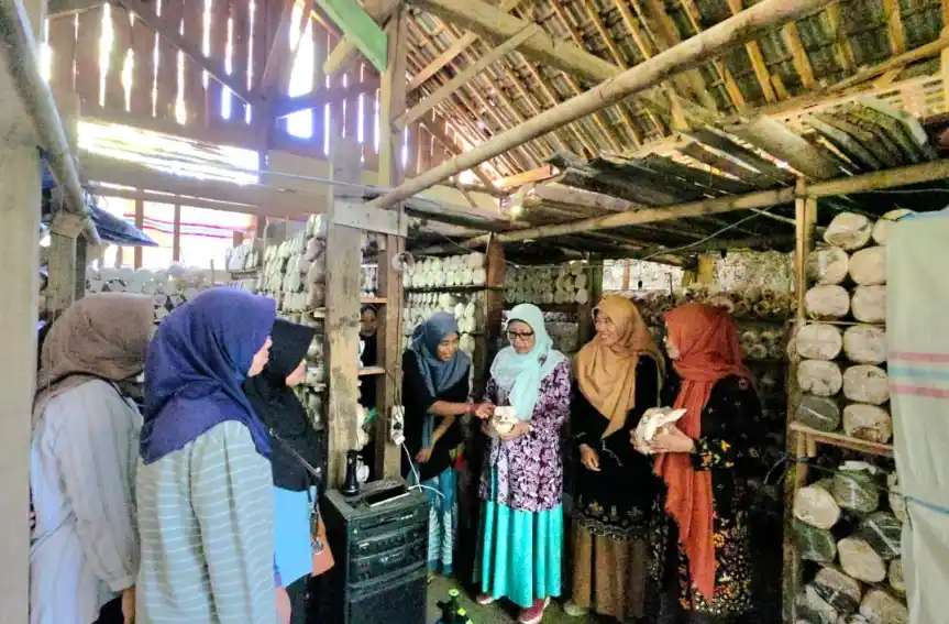 Tim peneliti PkM Unsoed memberikan pendampingan langsung dan mengamati baglog bersama petani perempuan Kelompok Tani Jamur Agro Tani Mandiri di dalam kumbung jamur Desa Winduaji Brebes.
