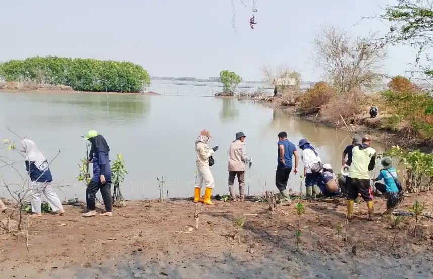 Sekelompok relawan lintas institusi menyusuri tepian berlumpur saat melaksanakan aksi tanam mangrove Semarang di Pantai Mangkang Kulon.