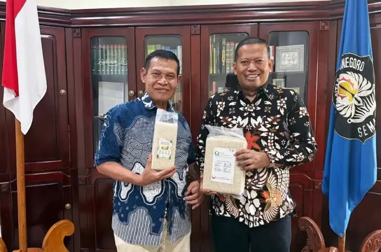 : Rektor Undip Prof. Dr. Suharnomo memamerkan beras parboiled LGI Q-Tha bersama perwakilan SPPQT.