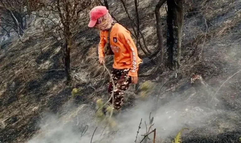 Seorang relawan berseragam oranye berbekal dahan kayu memukul tanah berbara yang mengepulkan asap saat menjinakkan kebakaran Gunung Sumbing secara manual.