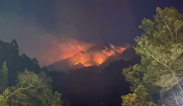 Kobaran api menyala merah membakar kawasan hutan saat insiden Karhutla Gunung Lawu pada malam hari.