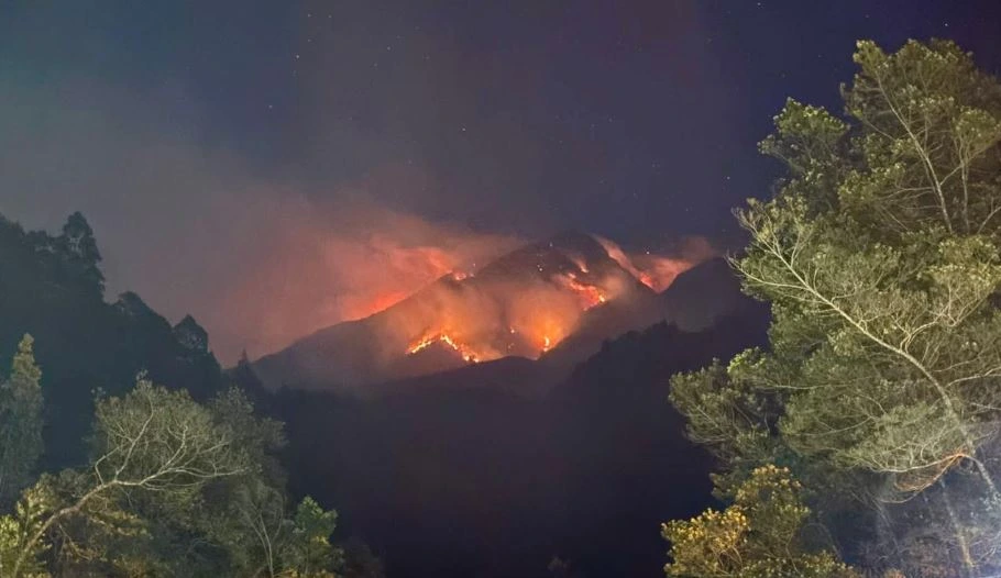 Kobaran api menyala merah membakar kawasan hutan saat insiden Karhutla Gunung Lawu pada malam hari.