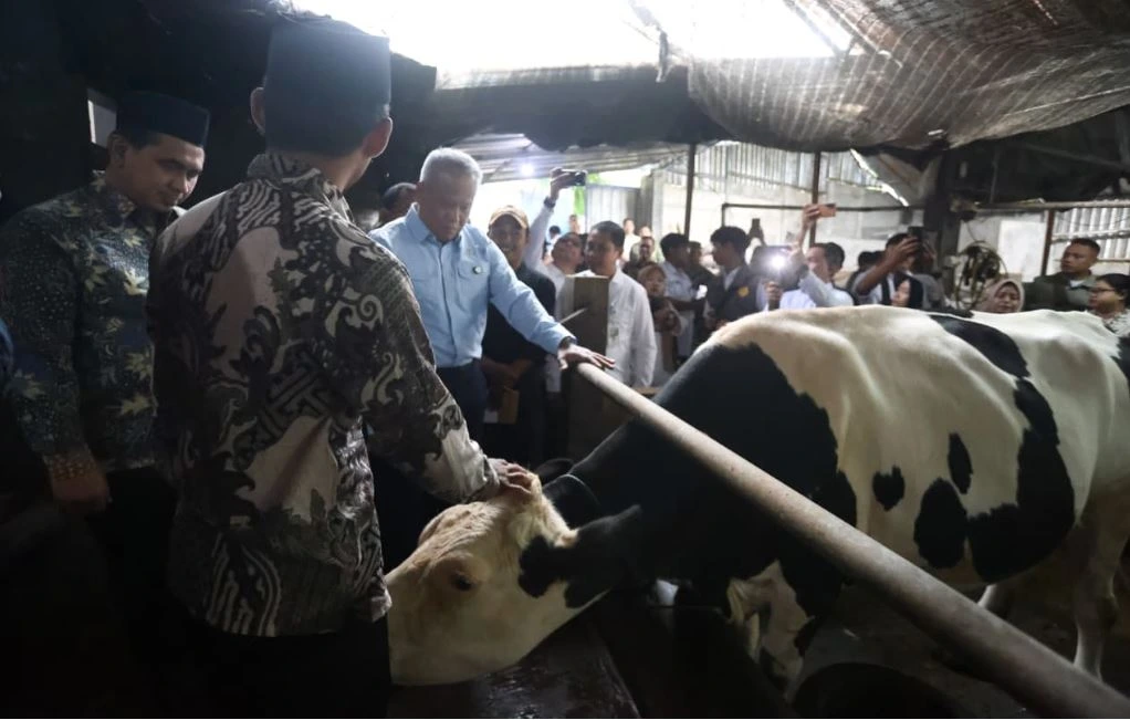 Wakil Menteri Pertanian bersama Wakil Gubernur Jawa Tengah Taj Yasin Maimoen meninjau peternakan sapi perah dalam kunjungan kerja di Kabupaten Magelang.